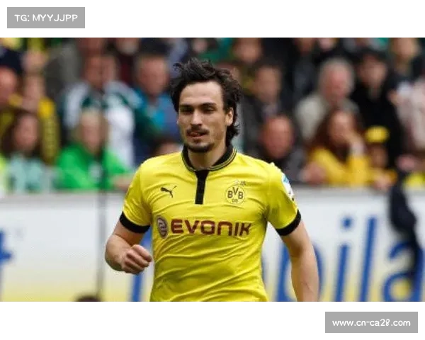 霍芬海姆队医确认町田浩树韧带受伤 预计伤停8至10周